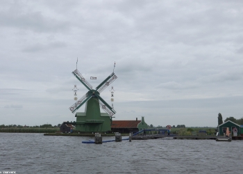 Daan 115